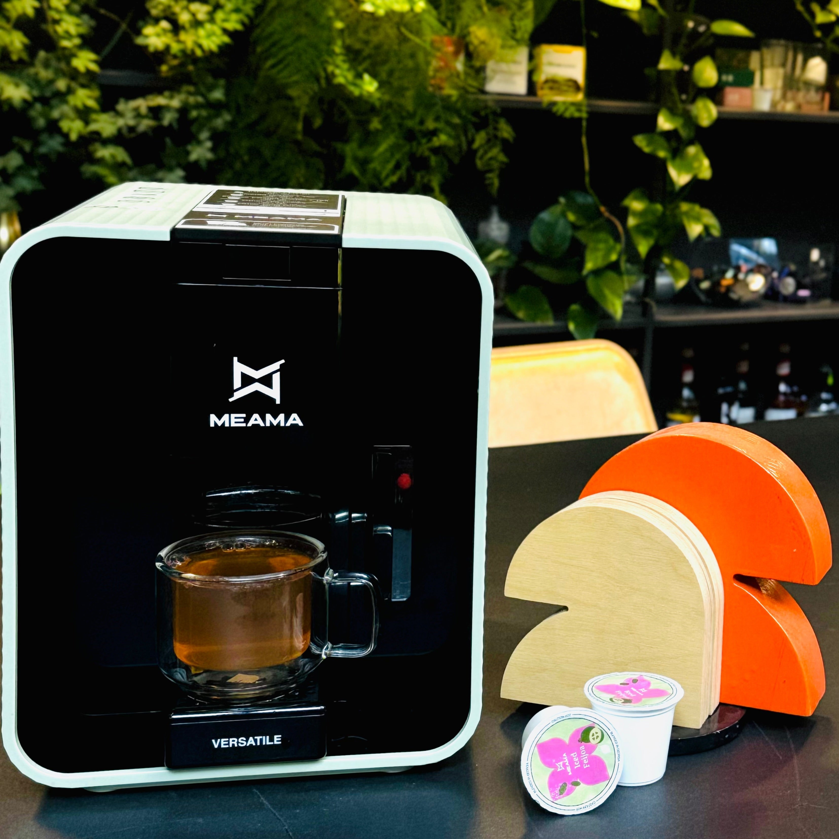 ცივი ფეიხოა